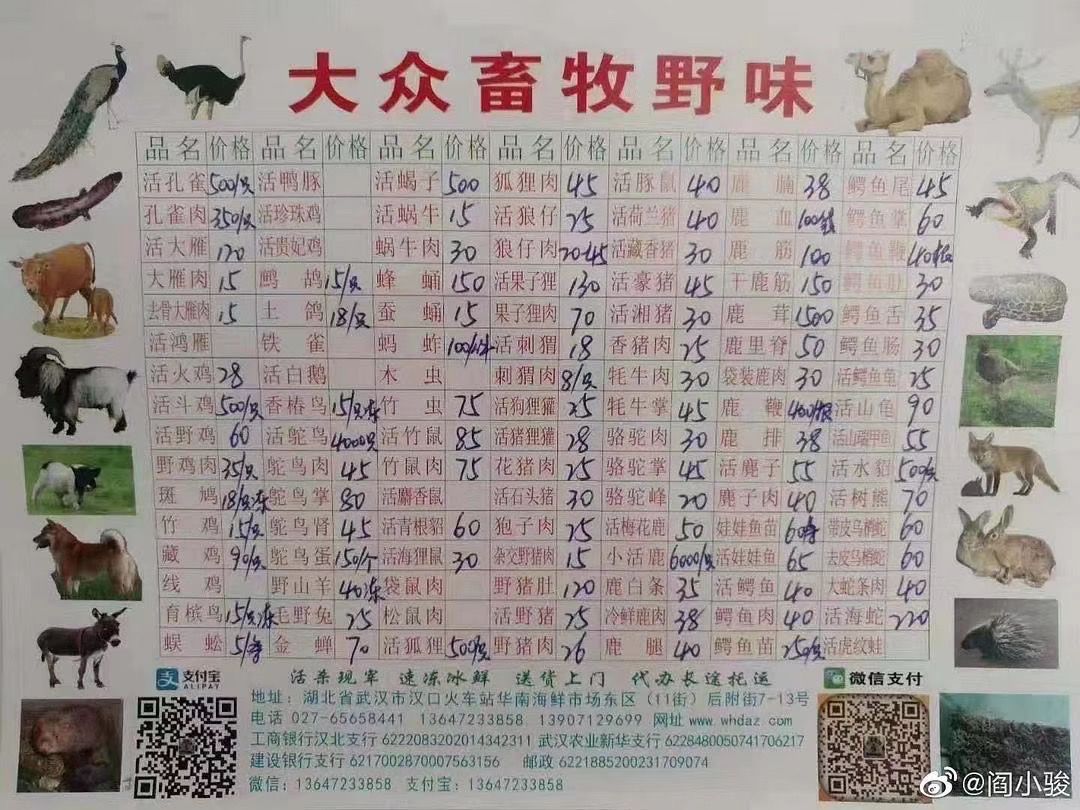 4883704688786091787